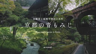 【京都の青もみじ】 永観堂と南禅寺周辺の名所｜Kyoto Japan Cinematic Film 4K