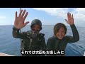 ザトウクジラ探し！今年は会えるのか？？　　　（石垣島　ダイビング）