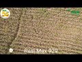 rasi max 929 hdps method rasi seeds pvt ltd