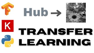 30: Transfer Learning | TensorFlow | Tutorial