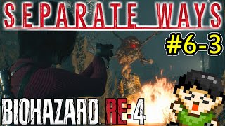 【実況】【バイオRE4】レオンの裏はエイダ！バイオRE4セパレートウェイズをツッコミ実況Part6-2【バイオハザードRE4】