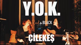 Y.O.K. Rednblack Cover ( Çilekeş )