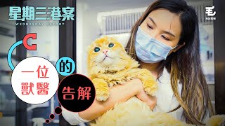 19/11《星期三港案》一位獸醫的告解