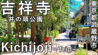 [Summer vacation in Kichijoji]Enjoy Inokashira Park in Kichijoji[Travel/Tokyo sightseeing/Ghibli]