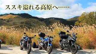 【Vストローム250】ススキ溢れる景色へ！バイク3台で行く砥峰高原ツーリング