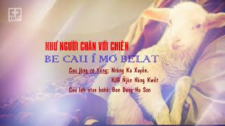 🎼 BE CAU Î MƠ BELAT - NHƯ NGƯỜI CHĂN VỚI CHIÊN