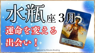 水瓶座3月は運命を変える出会いが待ってる❗️大切にすべきは○○❗️2025年3月運勢仕事恋愛人間関係♒️【脱力系タロット占い】