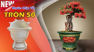 Khuôn Chậu Tròn 50 Xuân An Khang - Tết Thịnh Vượng