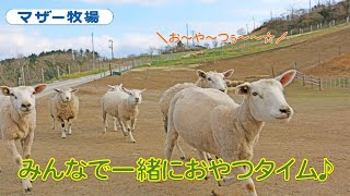 みんなで一緒におやつタイム♪