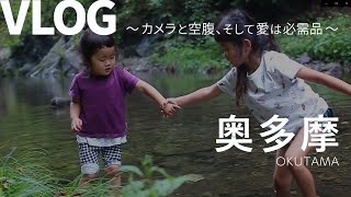 森の中のお肉レストランで美味しいハンバーグを食べました【VLOG】奥多摩