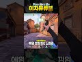 발로란트 에임 보정되는 밴달 스킨