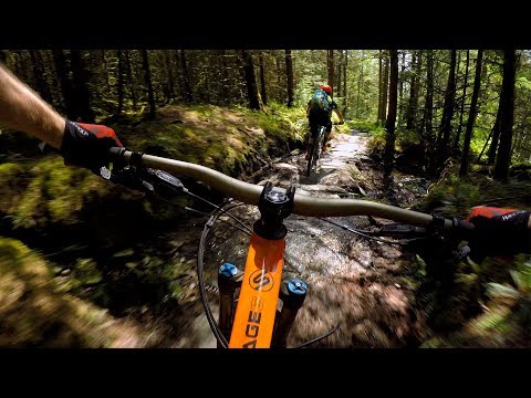 NOTHING BUT THE BEAST | Mountain Biking Coed y Brenin in Wales NOTHING BUT THE BEAST | Mountain Biking Coed y Brenin in Wales