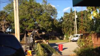 Monster Tree Service Fort Lauderdale