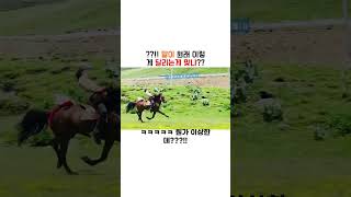 뭐지? 말이 원래 이렇게 달리나? #말 #달리자 #horse