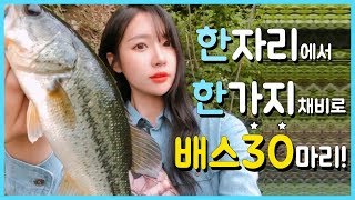 앵쩡티비 :D 배스 낚시! 한자리에서 한가지 채비로 배스 30마리! In one place, Catch 30 Bass!