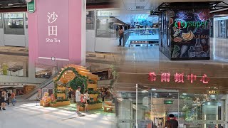 港鐵沙田站 | 新城市廣場 | citysuper 超市 | 希爾頓中心 | 稻香飲茶~$18.8孖寶 | 2024-6-21(星期五)實況