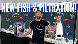 Do Algae Scrubbers Work? Advanced Filtration to My New Aquarium (Clearwater Algae Scrubber)