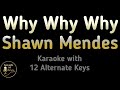 Shawn Mendes - Why Why Why Karaoke Instrumental Lower Higher Female & Original Key