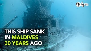 This Ship Sank In Maldives 30 Years Ago | Curly Tales