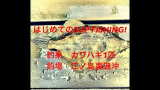 SUP FISHING @Shonan   ～本編vol.1はじめてのSUP FISHINGチャレンジ！＠江の島浦磯沖　 takenoko SUP FISHING TV