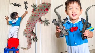 ตุ๊กแกกินตับ น้องแฝดจะจับตุ๊กแกได้มั้ย? Gecko | พี่โฟล์คและน้องแฝด