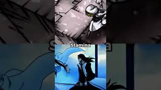 Gremmy vs Byakuya | Sternritters vs Gotei 13