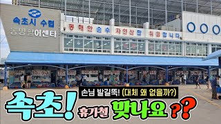 속초 동명항 어시장 휴가철 손님 발길뚝? 유명 회센터! 이젠 끝? 버틸수 없어 X만원! 최신 정보! korean fish market channel