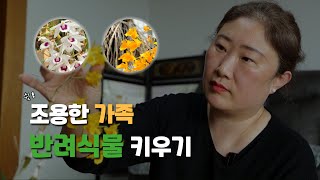 조용한 가족, 반려식물 키우기 | 생생투데이 사람과 세상, (KBS 2022.04.19, 화 방송)