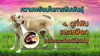 รายการสาระพันธุ์สัตว์ ตอนที่ 4 เรื่องลับ ๆ  ฉบับผู้ชาย