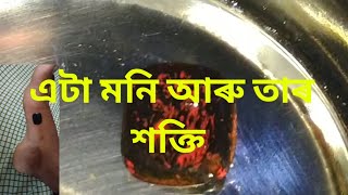 নিজে নেদেখিলে বিশ্বাস নহব