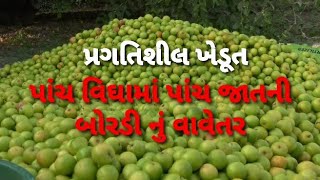 પ્રગતિશીલ ખેડૂત : પાંચ વિઘામાં પાંચ જાતની બોરડી નું વાવેતર કરી લાખો ની કમાણી