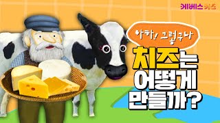 치즈는 어떻게 만들어질까?ㅣ치즈와 우유ㅣ아하! 그렇구나ㅣKBS 방송