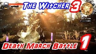 The Witcher 3 Death March Battle#1 最高難易度デスマーチ攻略 戦闘集1 【ウィッチャーシリーズ３作まとめて攻略】 Witcher3