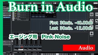 Burn in Audio【エージング用ピンクノイズ pink noise】