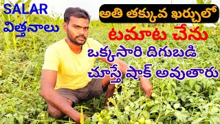 అతి తక్కువ ఖర్చులో టమాట చేను ఒక్కసారి దిగుబడి చూస్తే షాక్ అవుతారు#tomato#agriculturevideos#youtube#s