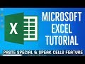 Microsoft Excel Tutorial - How to Use Paste Special + How to Use Speak Cells Feature in Excel