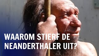 Hoe de neanderthaler op mysterieuze wijze van de aarde verdween