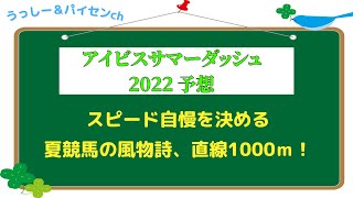 【アイビスサマーダッシュ2022】早い馬が勝つ！新潟千直！！  夏競馬、12点以下で3連単当てられる？ 検証 part6