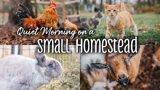 Quiet Morning on a Small Homestead - ASMR (No talking or music)