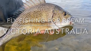 Fly Fishing for Bream - Victoria, Australia