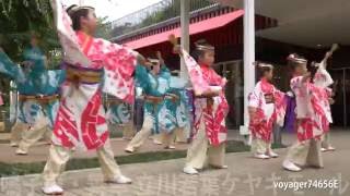 鳴子華 舞華さん【FHD】立川若葉ケヤキモール