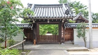 興聖寺 京都 / Kousho-ji Temple Kyoto / 교토