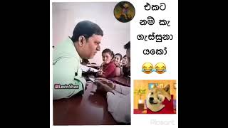 🤣කාටහරි මෙහෙම වැඩක් වෙලා තියෙනවද