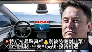 特斯拉股价暴跌8%！恐慌抛售背后三大真相揭露 | 中美科技博弈下的投资机遇与陷阱