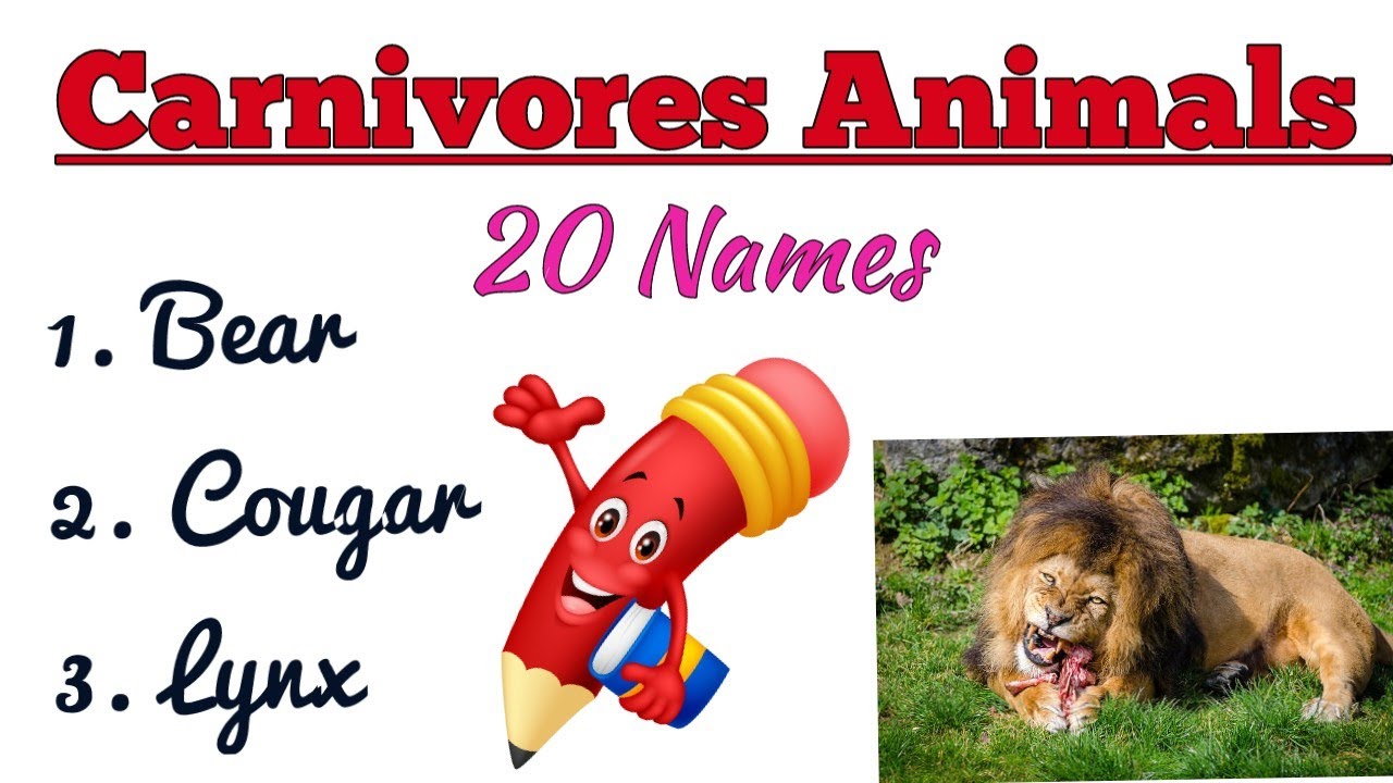 20 Names Of Carnivores Animals||Names Of Carnivorous Animals ...