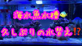 海水魚水槽🐠 久しぶりの水替え⁉️