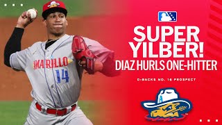 Yilber Diaz strikes out 10 | MiLB Highlights