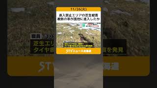 進入禁止エリアの芝生被害　複数の車が園地に進入したか　えぐれて土が…　北海道・支笏湖温泉 #shorts