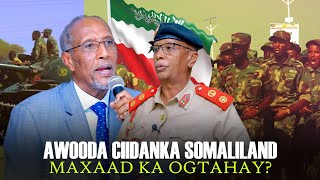 Waxka ogow Awooda Ciidanka Qaranka somaliland? waa imisa tiradoodu? Muuqaalo aan hore loo arkin