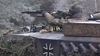 Leopard, Marder und Fuchs im Winterwald- TrÜbPl Bergen